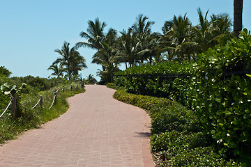 Image showing Tranquil path in a tropical setting