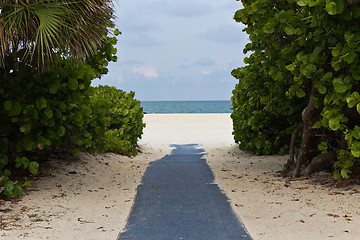 Image showing Path leading to the beach