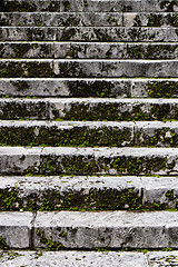 Image showing Old stairs covered in moss