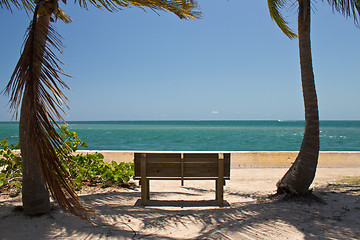 Image showing Bench among the palm trees facing the ocean