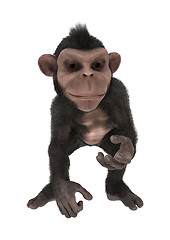 Image showing Little Chimpanzee