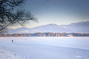 Image showing winter scenery