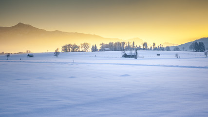 Image showing winter scenery