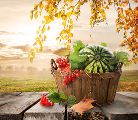 Image showing Basket with watermelons