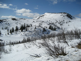 Image showing Winter landscape in Numedal, Norway