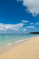 Image showing Beautiful tropical beach with lush vegetation