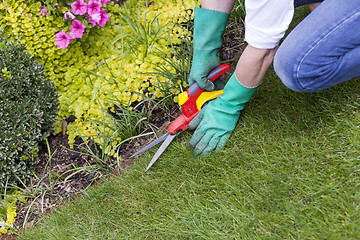 Image showing Close Up of Hands Trimming Grass with Clippers