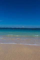 Image showing Beautiful tropical beach with lush vegetation