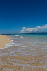 Image showing Beautiful tropical beach with lush vegetation