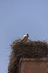 Image showing Storks nesting on a rooftop in Marrakesch