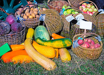 Image showing Harvest vegetables sold at the fair