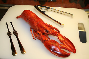 Image showing Lobster