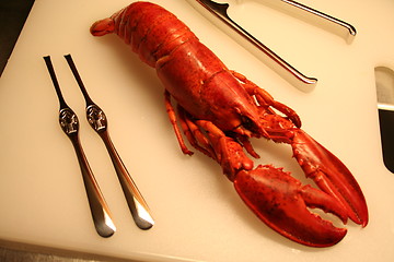 Image showing Lobster