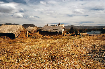 Image showing Lake Titicaca, Peru