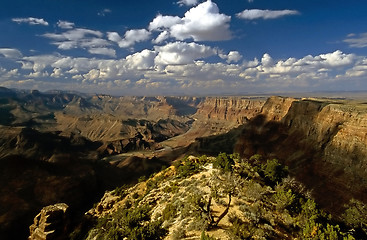 Image showing Grand Canyon