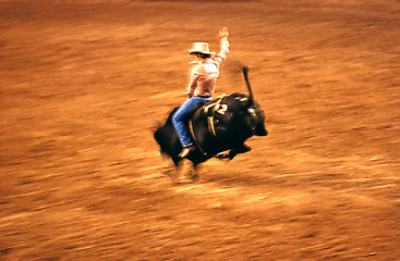 Image showing Rodeo