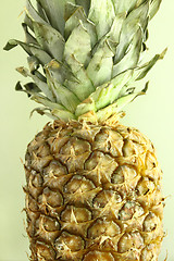 Image showing Ripe pineapple