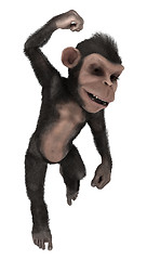 Image showing Little Chimpanzee