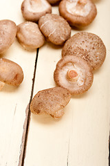 Image showing shiitake mushrooms