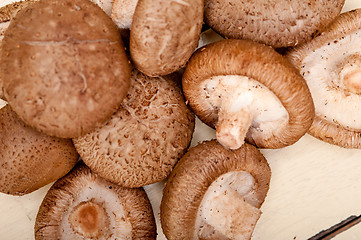 Image showing shiitake mushrooms