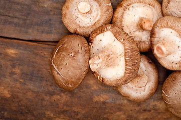 Image showing shiitake mushrooms