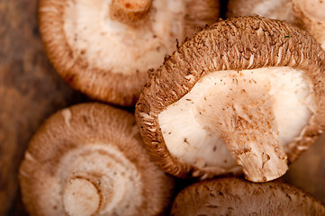 Image showing shiitake mushrooms