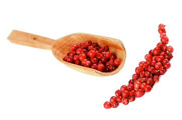 Image showing Red Peppercorns