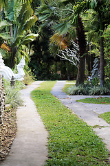 Image showing road in the jungle