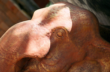 Image showing Portrait of elephants