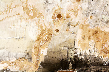 Image showing Mouldy wall