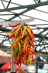 Image showing Chili peppers