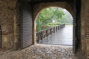 Image showing Dungeon door