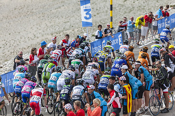 Image showing The Peloton on Mont Ventoux