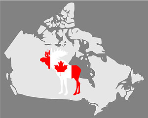 Image showing Canadian moose