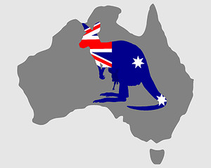 Image showing Australian kangaroo