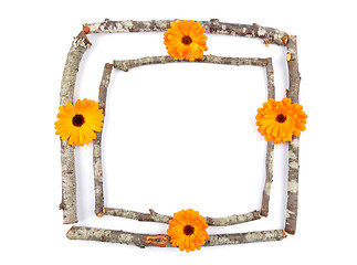 Image showing Wooden frame with calendula