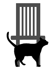 Image showing Cat on white