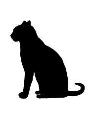 Image showing Cat on white