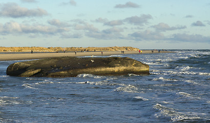 Image showing Coastline