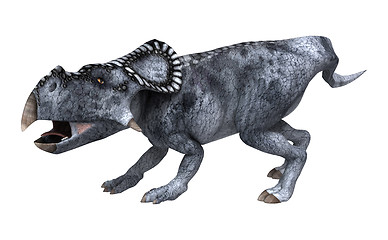 Image showing Dinosaur Protoceratops