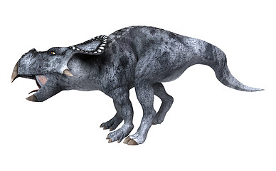 Image showing Dinosaur Protoceratops