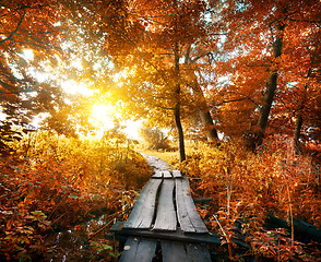 Image showing Autumn and bridge