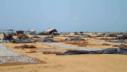 Image showing fish market