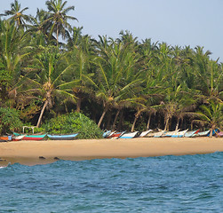 Image showing tropical beach scenery