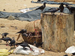 Image showing fish market