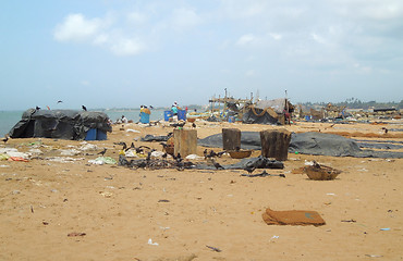 Image showing fish market