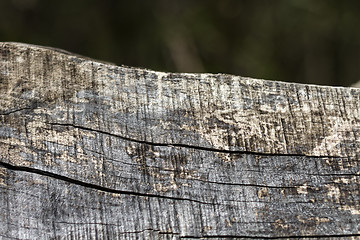 Image showing detail old piece of wood