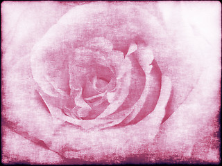 Image showing Grunge abstract background with rose