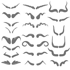 Image showing set of horns