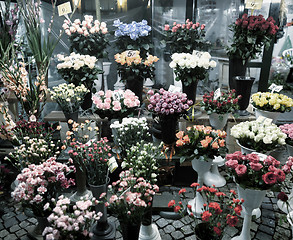 Image showing Florist’s stands 